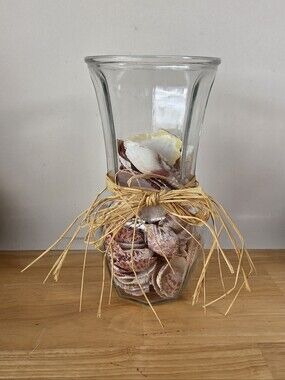 Glass Vase With Assorted Shells Sea Shells